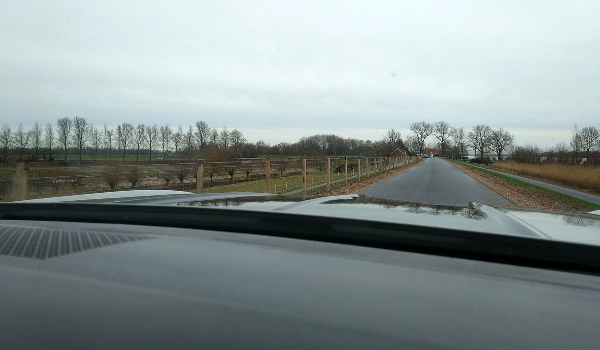Zelf rijden in klassieke Ford Mustang over Nederlandse wegen
